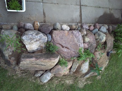 image002.jpg
