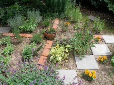 Ehemaligen Sandkasten als Kräuterbeet umfunktionieren. · Gartenplanung &  Gartengestaltung · GREEN24 Pflanzen & Garten Forum