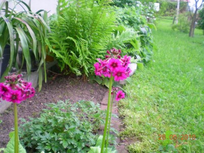 DSCN71720001.JPG