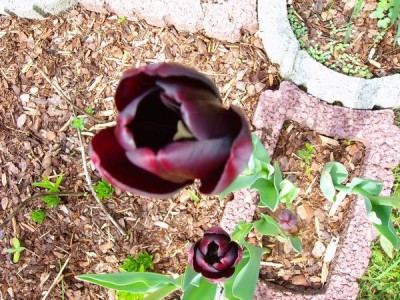 100D8772.JPG