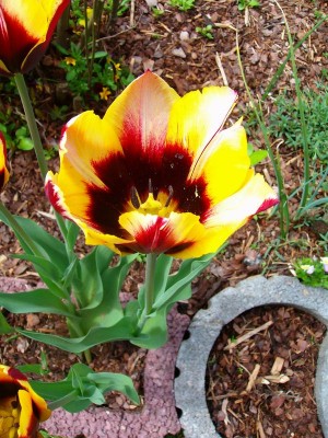 100D8771.JPG
