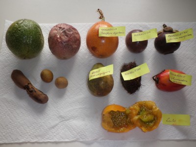 fruechte-barcelona1.jpg