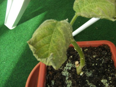 BILD0026.JPG