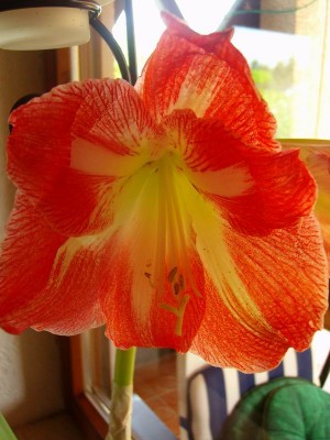 100D9000.JPG