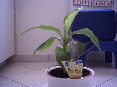 01.07.2009 - 1a.jpg