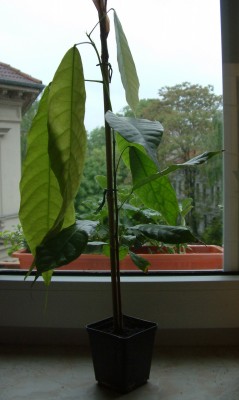 DSCF0286.JPG