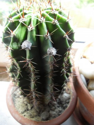 SDC13776_Bildgröße ändern.JPG