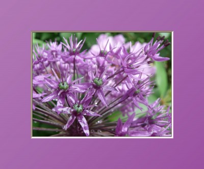 2010-06-02 064kl.jpg