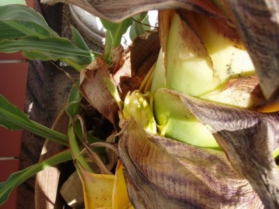 Meine Bilder 270a.jpg