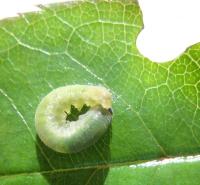 20100603_0001_17.JPG