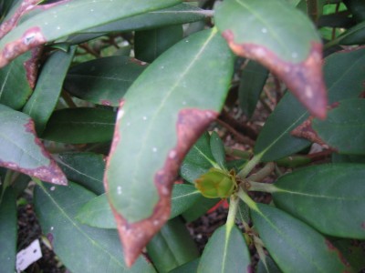 Picture 002.jpg