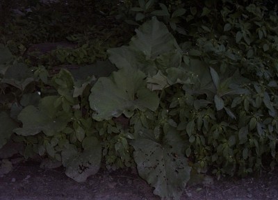 2010-06-03 - 038.jpg