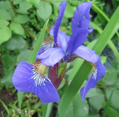 20100607_0001_6.JPG