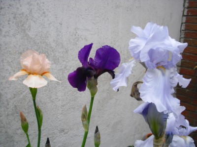 CIMG0068.JPG