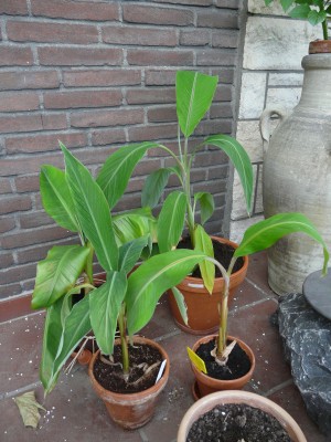 086 010.JPG