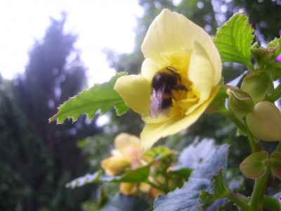 schööööön 026.jpg