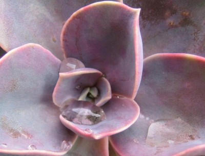 20100608_0001_11.JPG