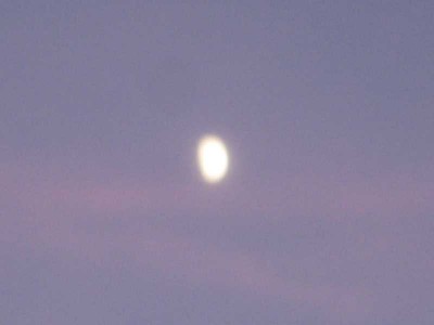 IMG_2230.JPG