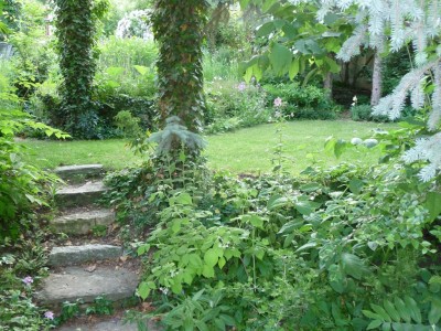 garten1 (43).JPG