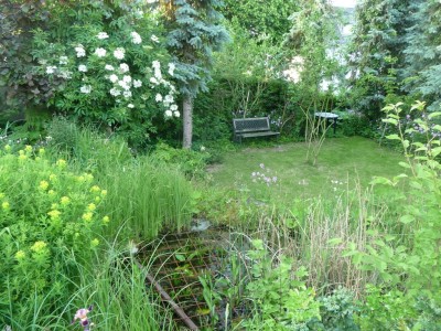 garten1 (57).JPG
