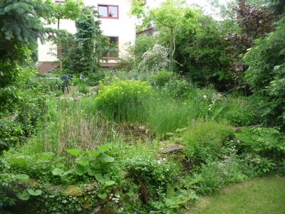 Kopie von P1020009.JPG