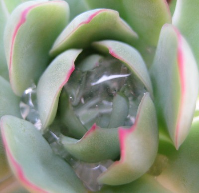 20100609_0001.JPG