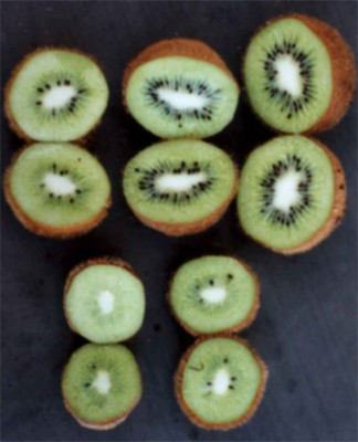 Kiwi - Früchte.jpg