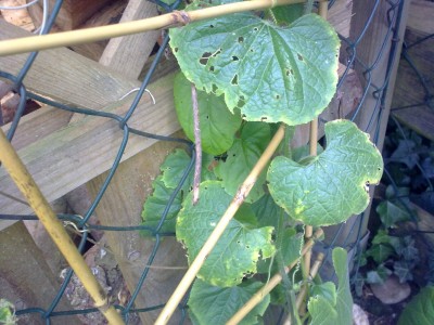 10062010304.jpg