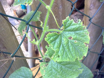 10062010303.jpg