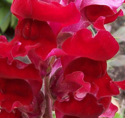 100_4663.jpg