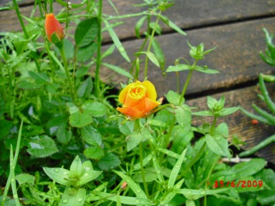 CIMG0164.JPG