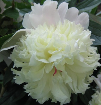 20100607_0001_3.JPG