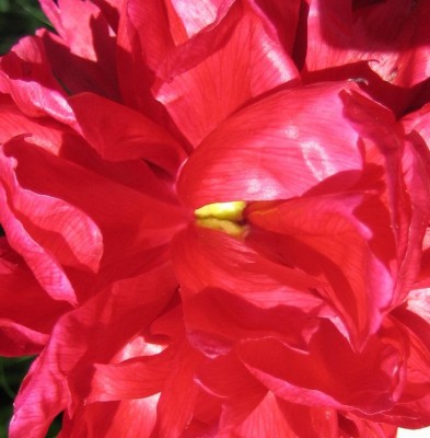 20100603_0001_7.JPG