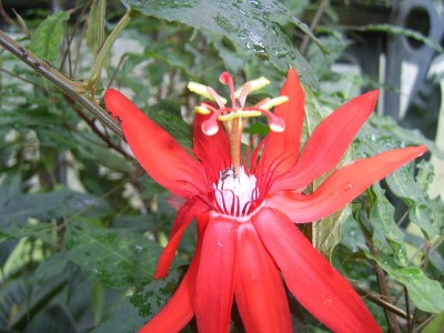 SV100202_800x600.JPG