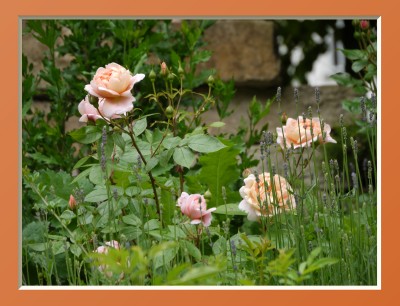 2010-06-13 058kl.jpg