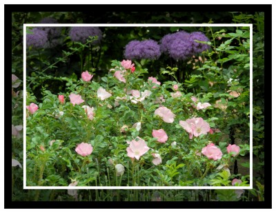 2010-06-13 060kl.jpg