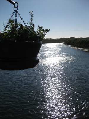IMG_4065.JPG