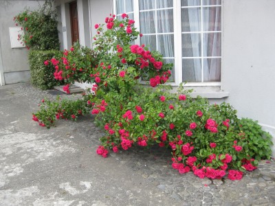 IMG_3995.JPG