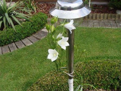 Meine Bilder 1187 a.jpg