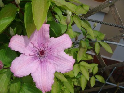 Meine Bilder 1182a.jpg