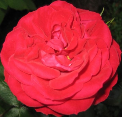 20100615_0001_5.JPG
