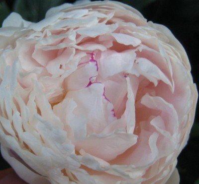 20100615_0001_2.JPG