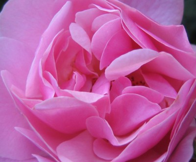 20100615_0001.JPG