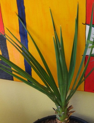 20100616_0001.JPG