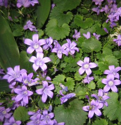 20100615_0001_12.JPG