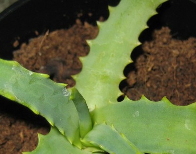 20100616_0001_3.JPG