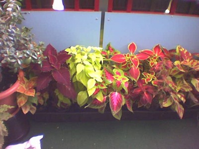 Foto(20).jpg