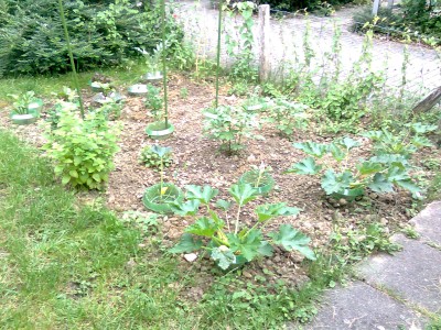 Bild0555.jpg