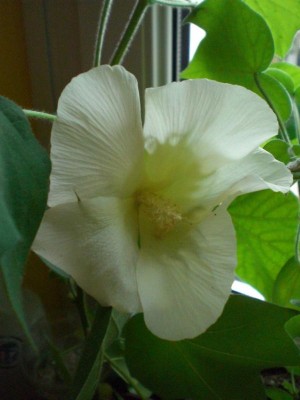 19062010-1.JPG