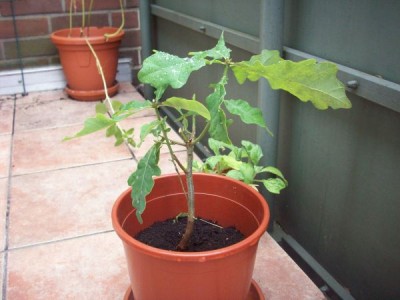 Foto 1.jpg